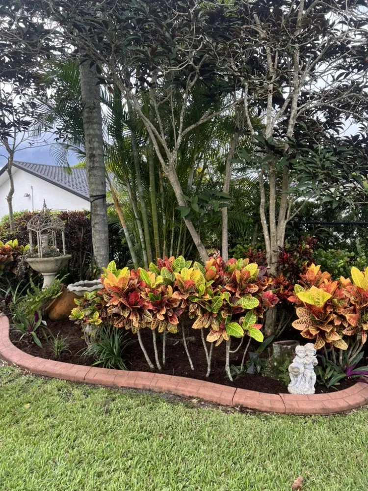 Local landscaping services experts serving Tamarac, FL - Fresh Feel Transformations
