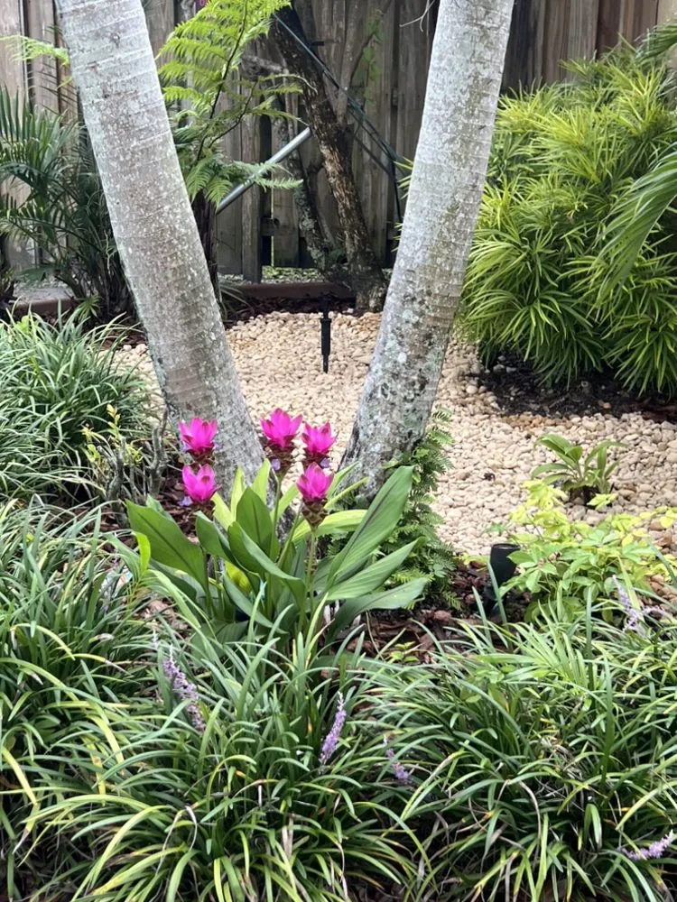 Professional landscape design in Tamarac, FL - Fresh Feel Transformations