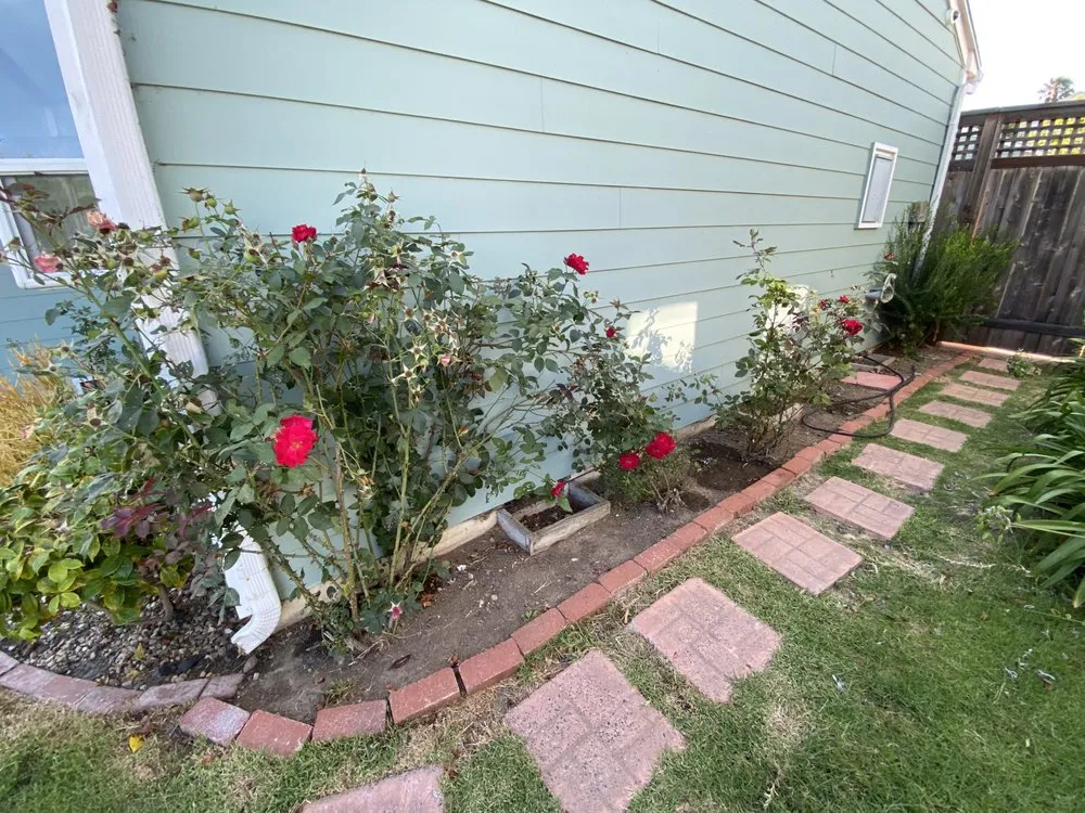 Local lawn care service for year-round maintenance across San Diego, CA - Fresh Flora Landscaping