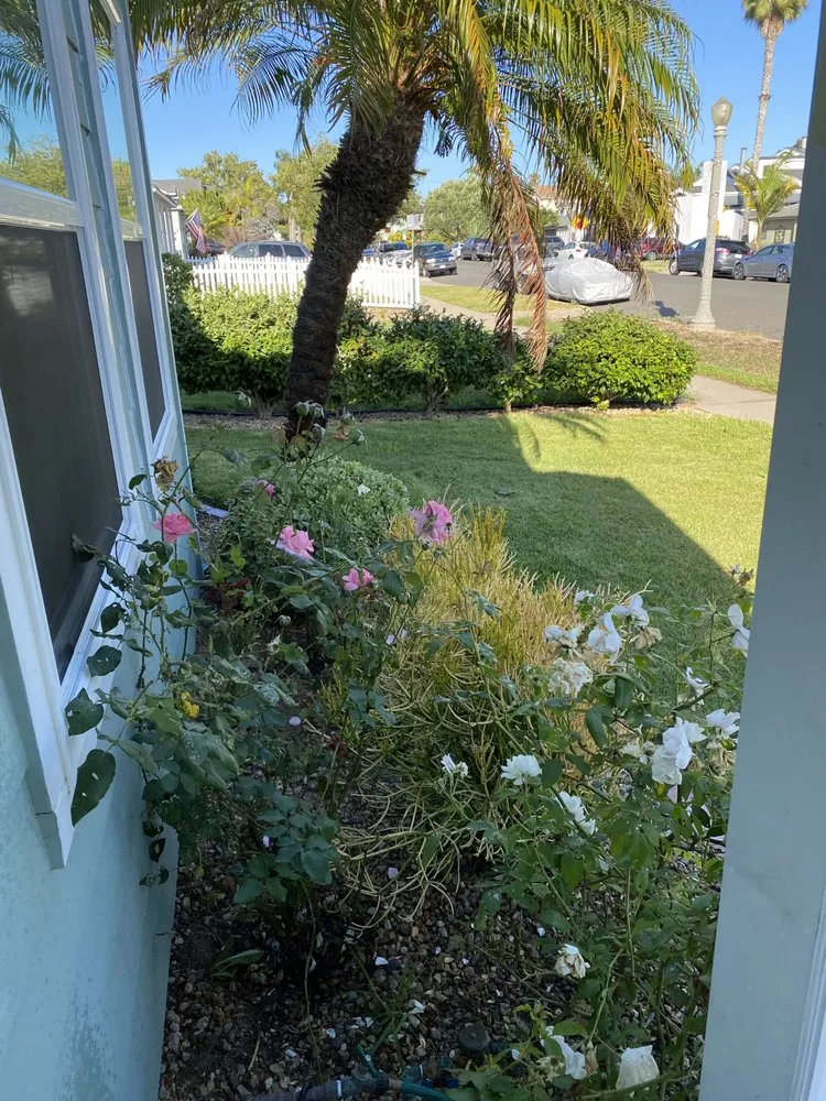 Top-rated lawn care service for beautiful yards in San Diego, CA by Fresh Flora Landscaping