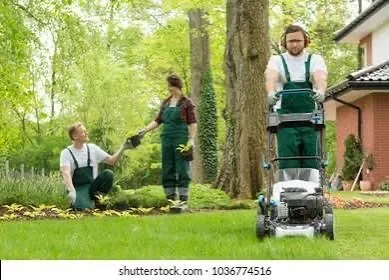 Top-rated yard maintenance experts serving Watertown, NY - Fresh Karz