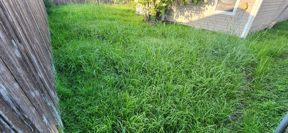 Affordable lawn mowing service in River Ridge, LA - Fresh Kutz Lawncare & Landscape