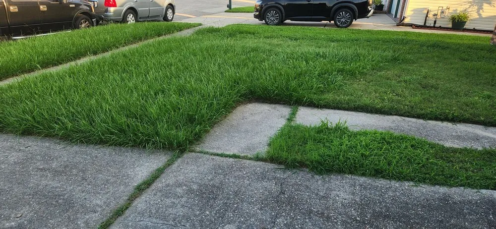 Professional yard cleanup service in River Ridge, LA by Fresh Kutz Lawncare & Landscape