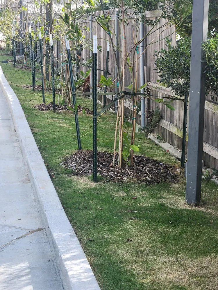 Professional yard cleanup service experts serving River Ridge, LA - Fresh Kutz Lawncare & Landscape