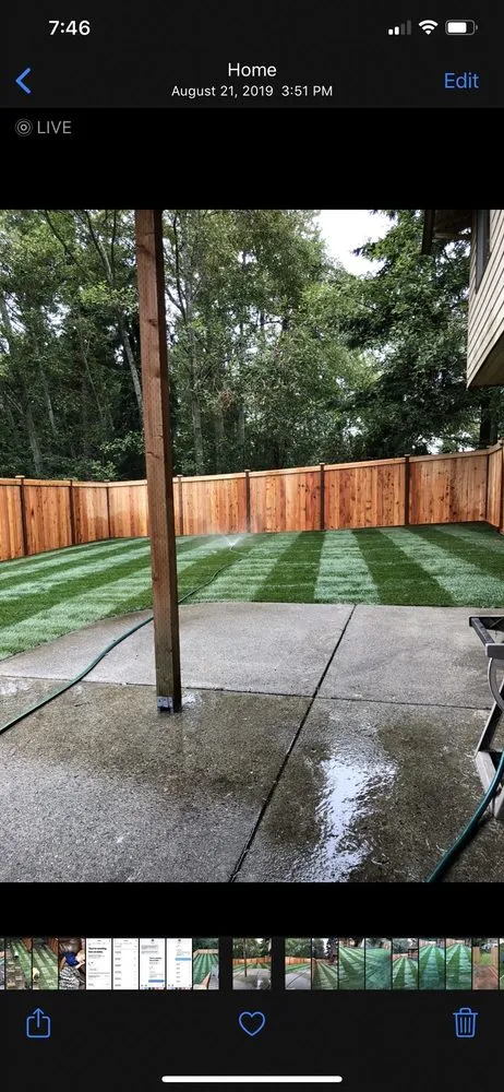 Expert yard cleanup service in Tacoma, WA - Fresh Lawn Landscaping