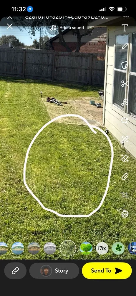 Professional yard cleanup service in Houston, TX - Fresh Lawn Mowing Service