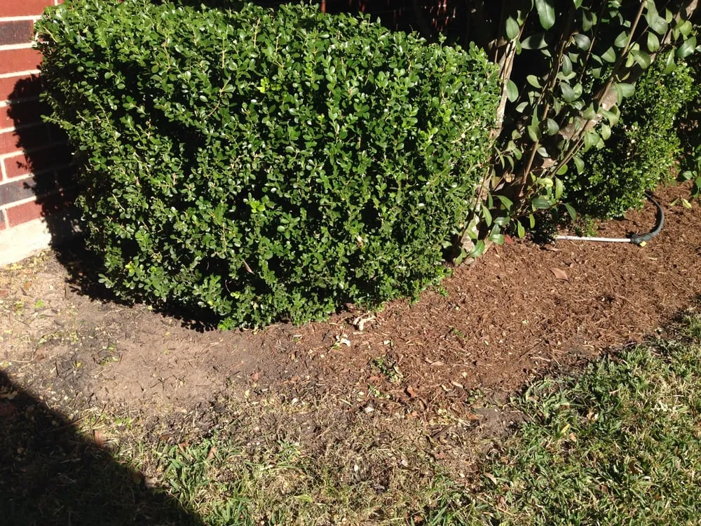 Local lawn mowing service in Houston, TX - Fresh Lawn Mowing Service