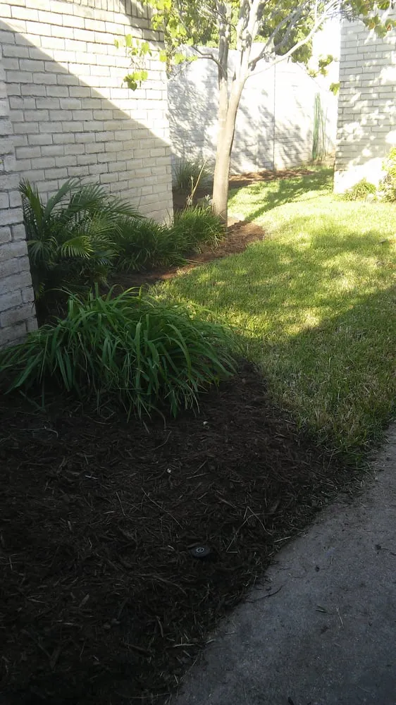 Trusted lawn mowing service in Houston, TX - Fresh Lawn Mowing Service
