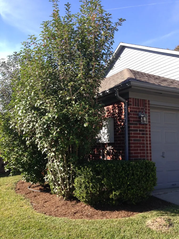 Reliable yard maintenance with custom design across Houston, TX - Fresh Lawn Mowing Service