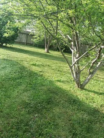 Expert lawn care service in Houston, TX by Fresh Lawn Mowing Service