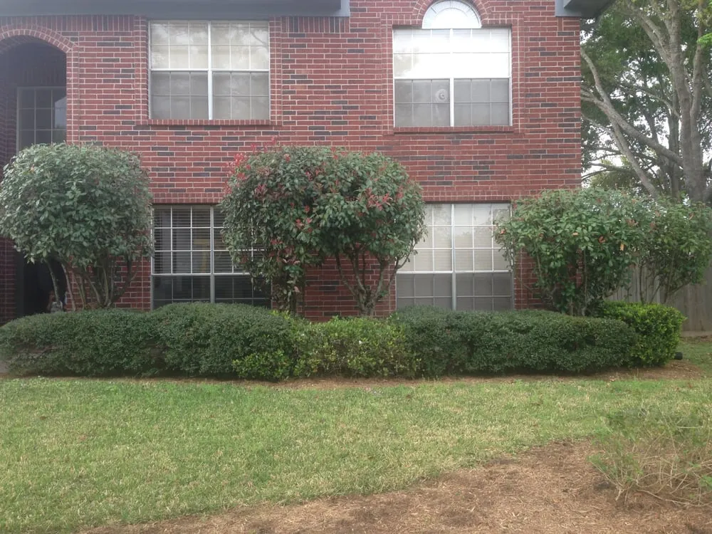 Local landscape installation experts serving Houston, TX - Fresh Lawn Mowing Service