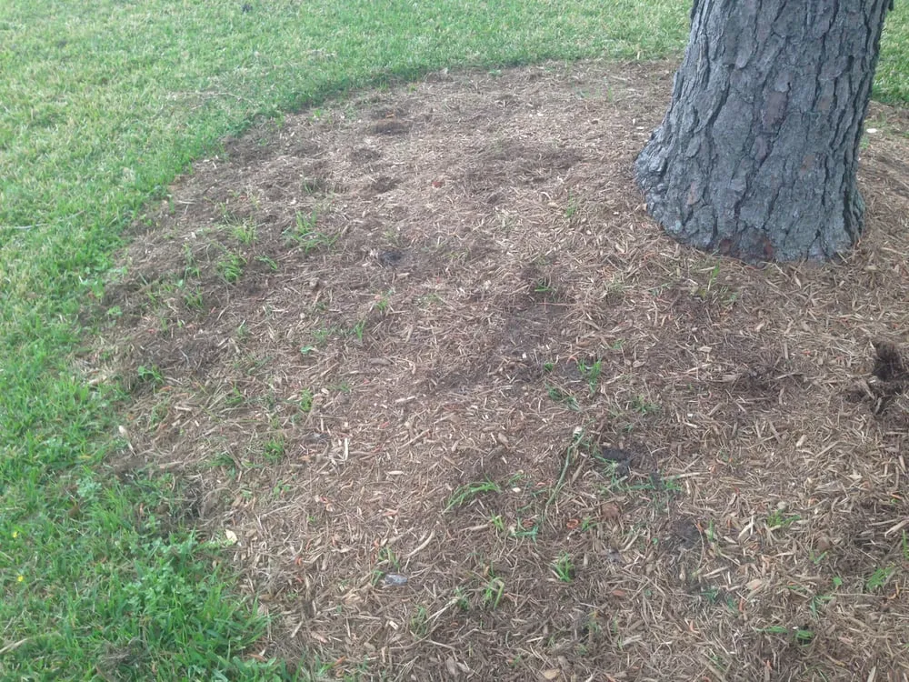 Custom landscaping services in Houston, TX by Fresh Lawn Mowing Service