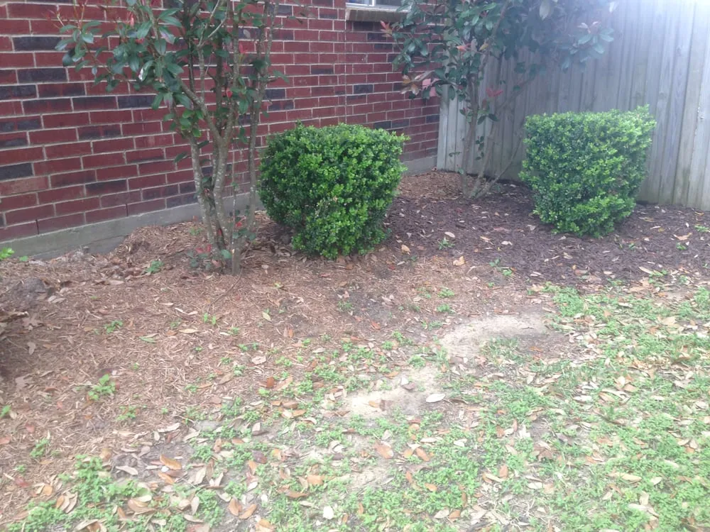 Trusted landscape design near you across Houston, TX - Fresh Lawn Mowing Service