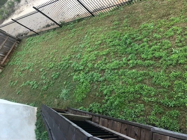 Custom lawn mowing service experts serving Houston, TX - Fresh Lawn Mowing Service