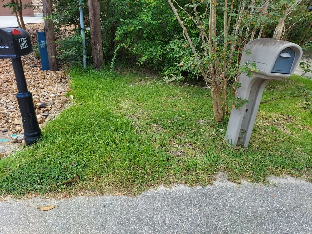 Top-rated yard cleanup service in Houston, TX by Fresh Lawn Mowing Service