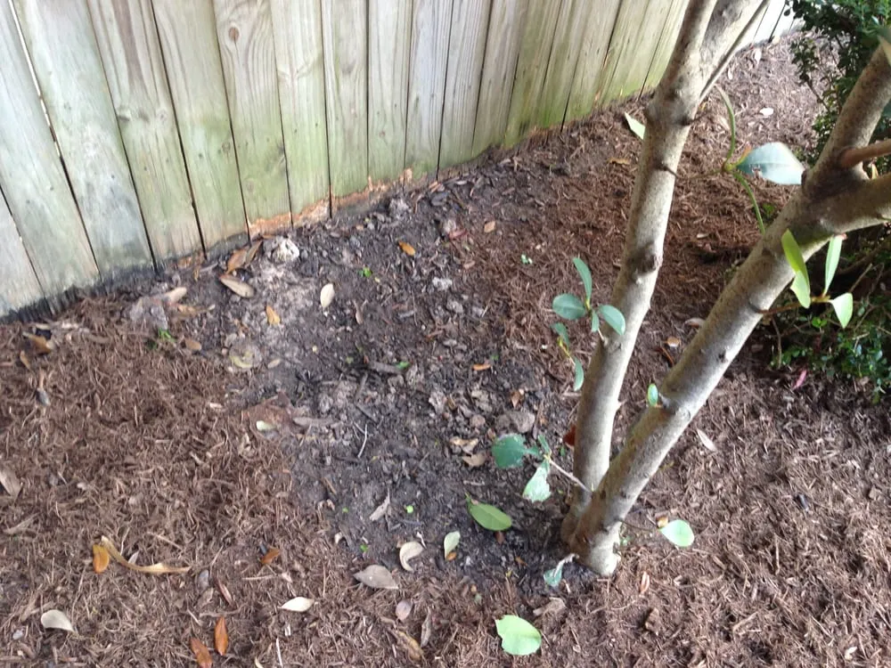 Trusted landscape design in Houston, TX - Fresh Lawn Mowing Service