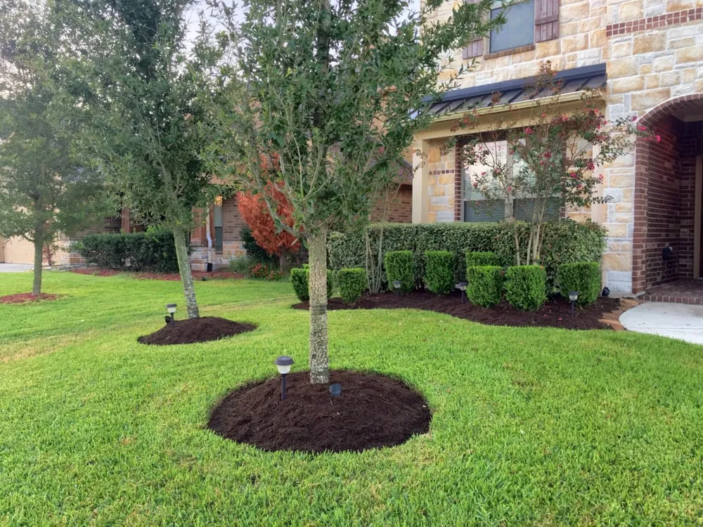 Top-rated outdoor landscaping for homes in Houston, TX by Fresh Lawn Mowing Service
