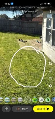 Fresh Lawn Mowing Service Logo