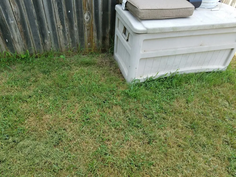 Expert lawn care service for residential properties across Buda, TX - Fresh Lawn Service