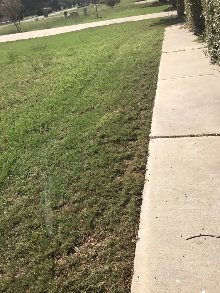 Expert residential landscaping experts serving Buda, TX - Fresh Lawn Service