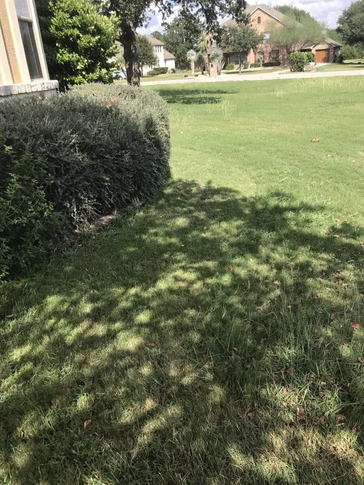 Reliable lawn care service for year-round maintenance across Buda, TX - Fresh Lawn Service