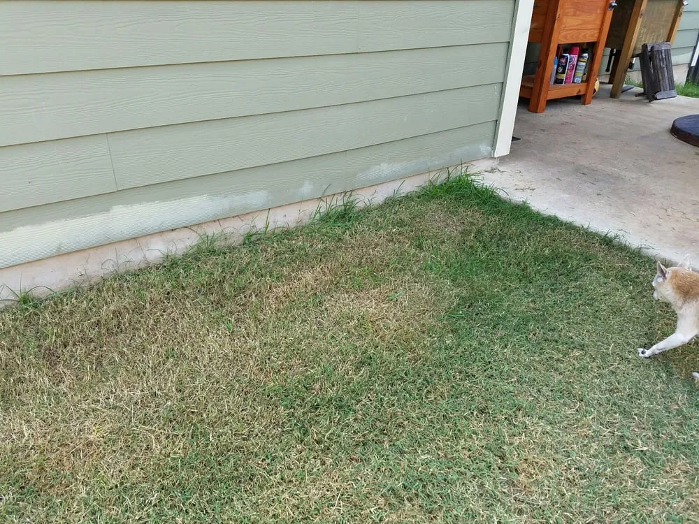 Reliable yard maintenance in Buda, TX - Fresh Lawn Service