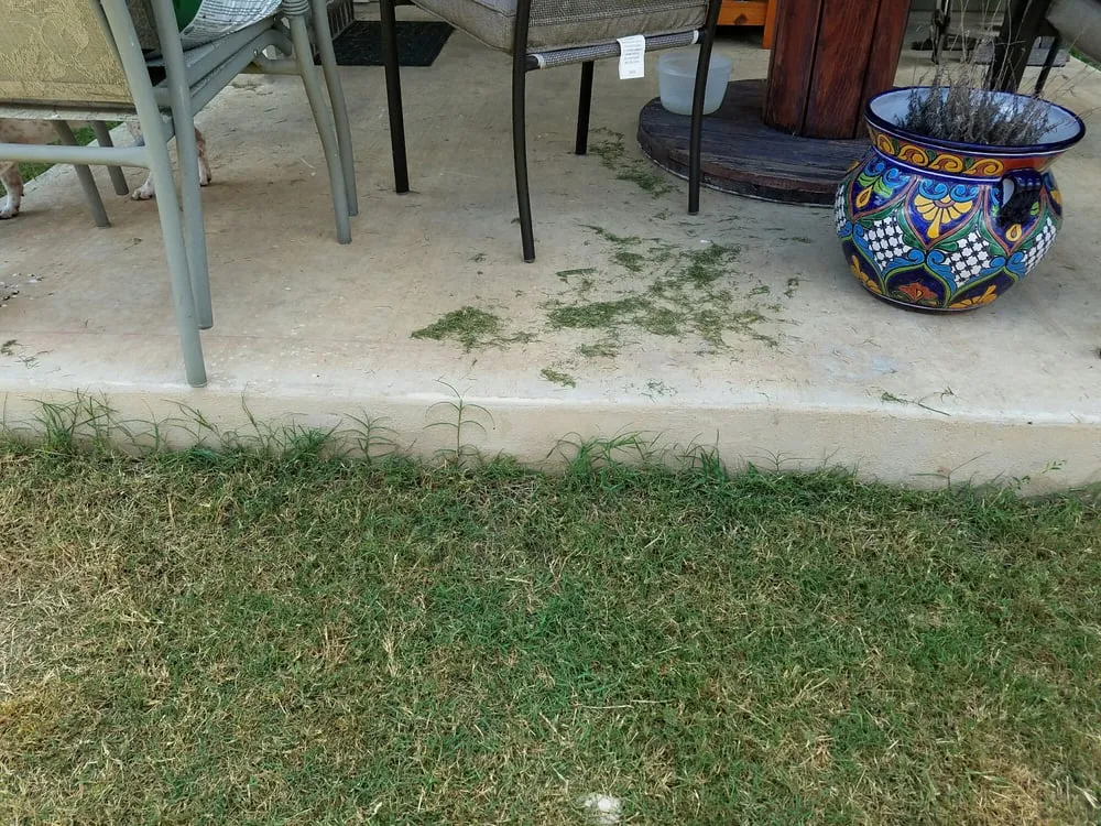 Affordable outdoor landscaping with custom design in Buda, TX by Fresh Lawn Service