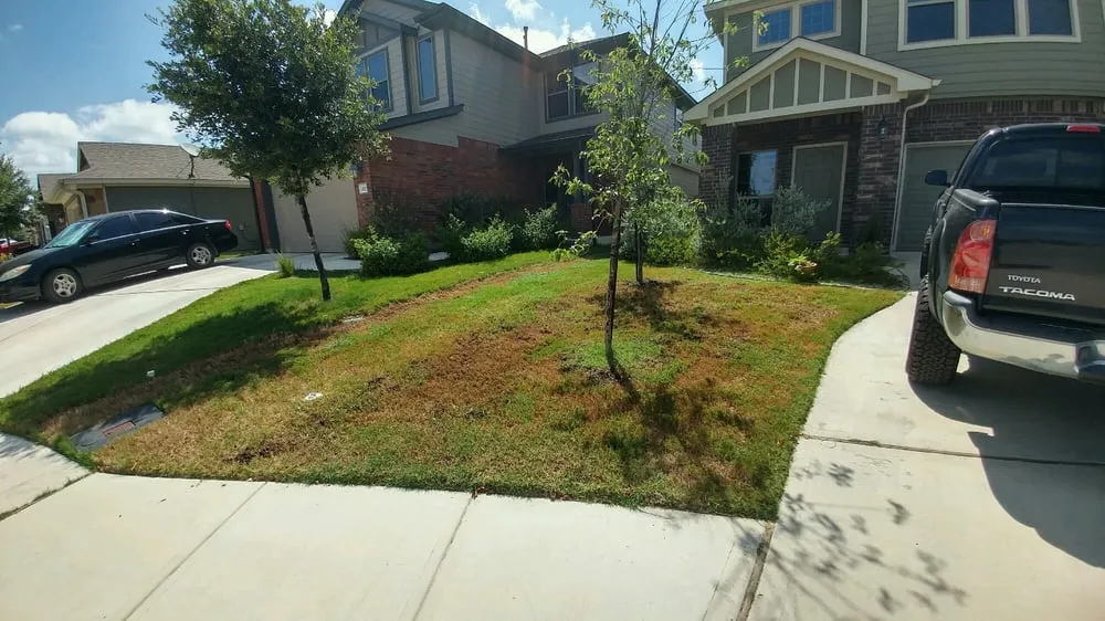 Top-rated landscape installation in Buda, TX - Fresh Lawn Service
