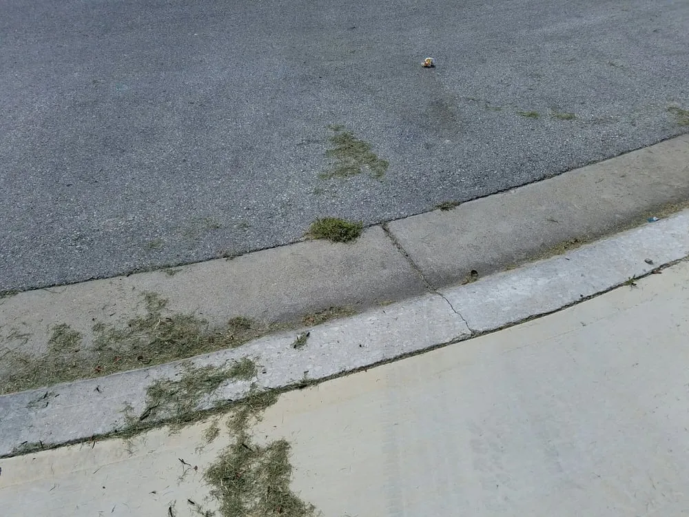 Affordable landscape installation with custom design in Buda, TX by Fresh Lawn Service