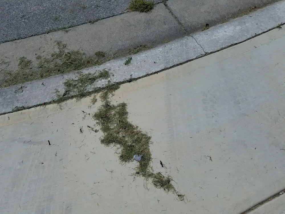 Reliable residential landscaping in Buda, TX by Fresh Lawn Service