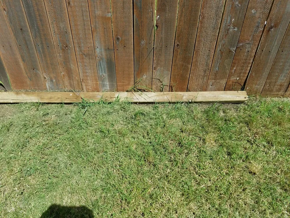 Top-rated garden landscaping for residential properties in Buda, TX by Fresh Lawn Service