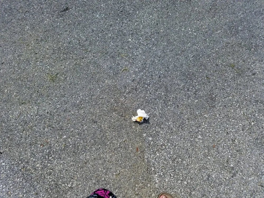 Affordable lawn care service with custom design across Buda, TX - Fresh Lawn Service