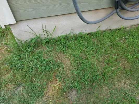 Fresh Lawn Service Logo