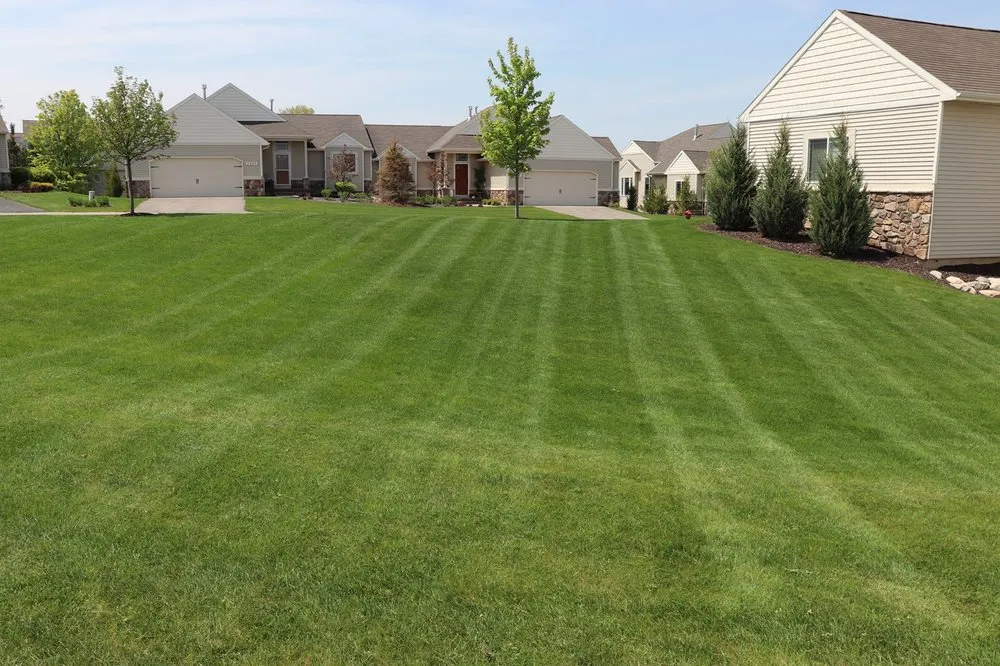 Trusted lawn care service experts serving Thomasville, NC - Fresh lawn
