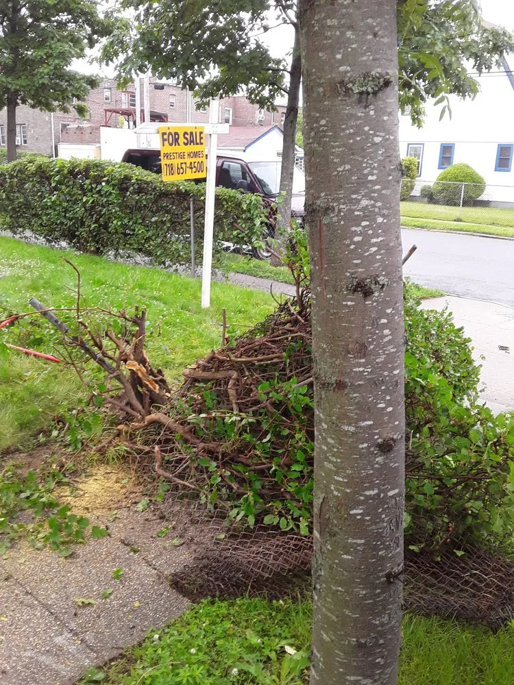 Trusted landscaping services experts serving Jamaica, NY - Fresh Lawns & Tree Service