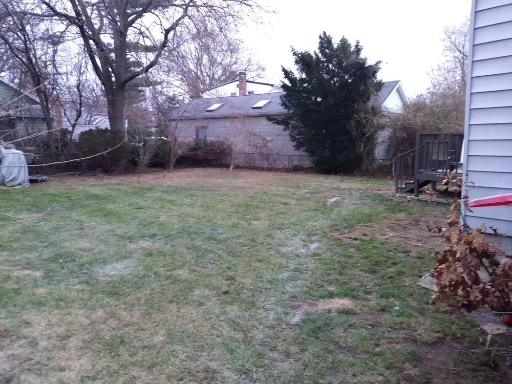 Custom lawn mowing service in Jamaica, NY - Fresh Lawns & Tree Service