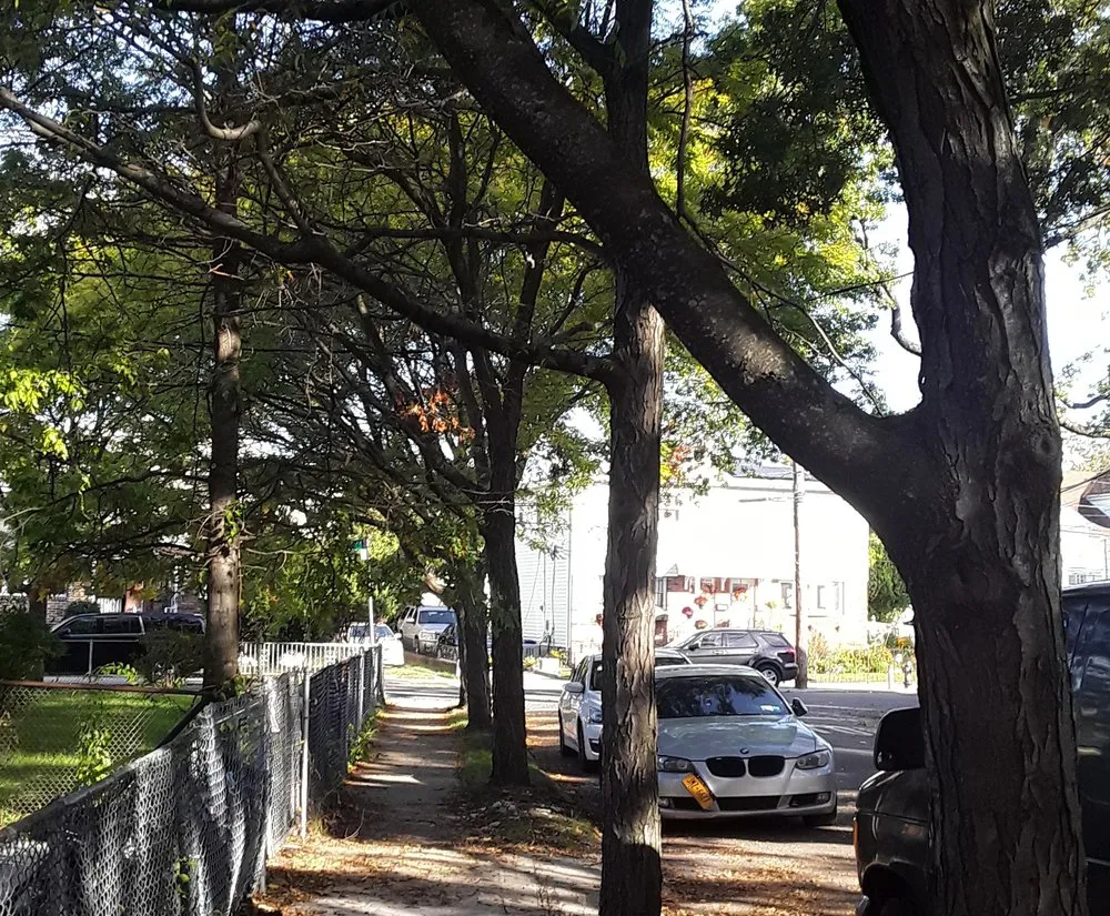 Trusted landscaping services in Jamaica, NY - Fresh Lawns & Tree Service