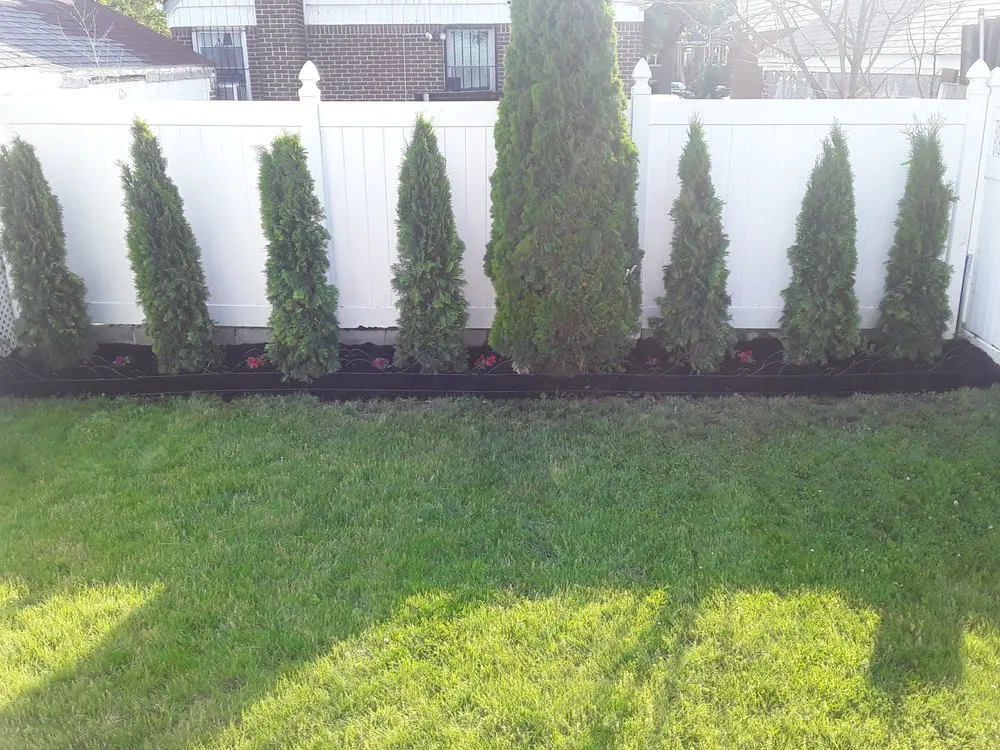 Affordable garden landscaping in Jamaica, NY - Fresh Lawns & Tree Service