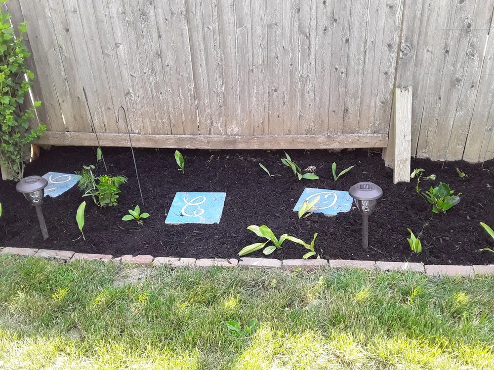 Professional yard cleanup service experts serving Jamaica, NY - Fresh Lawns & Tree Service