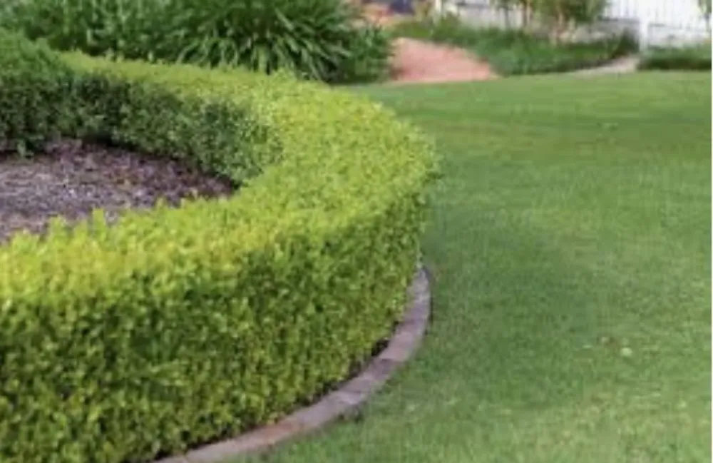 Local garden landscaping for residential properties in Orlando, FL by Fresh Look Landscaping & Maintenance