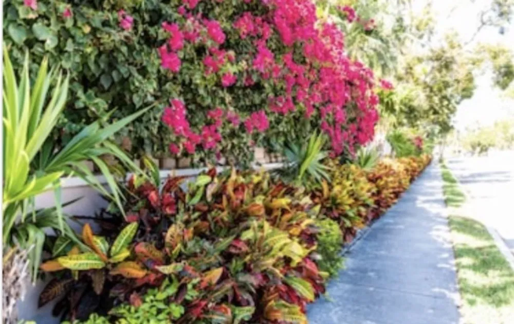 Professional garden landscaping experts serving Orlando, FL - Fresh Look Landscaping & Maintenance