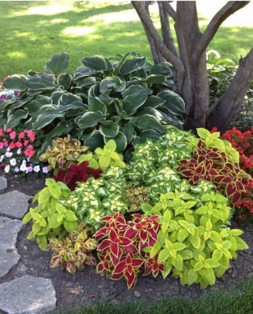 Top-rated residential landscaping in Orlando, FL by Fresh Look Landscaping & Maintenance