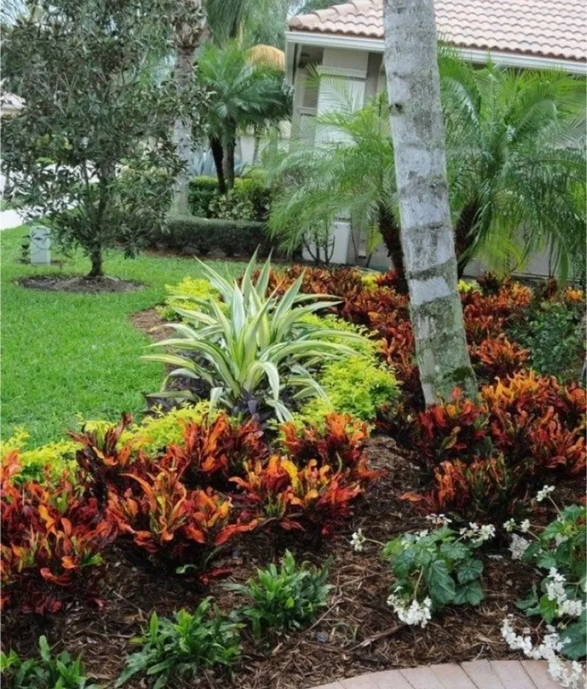 Local yard cleanup service for outdoor upgrades across Orlando, FL - Fresh Look Landscaping & Maintenance