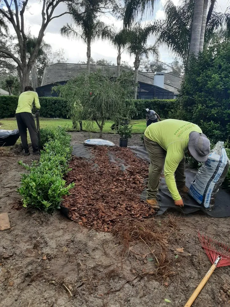 Custom outdoor landscaping for homes in Orlando, FL by Fresh Look Landscaping & Maintenance