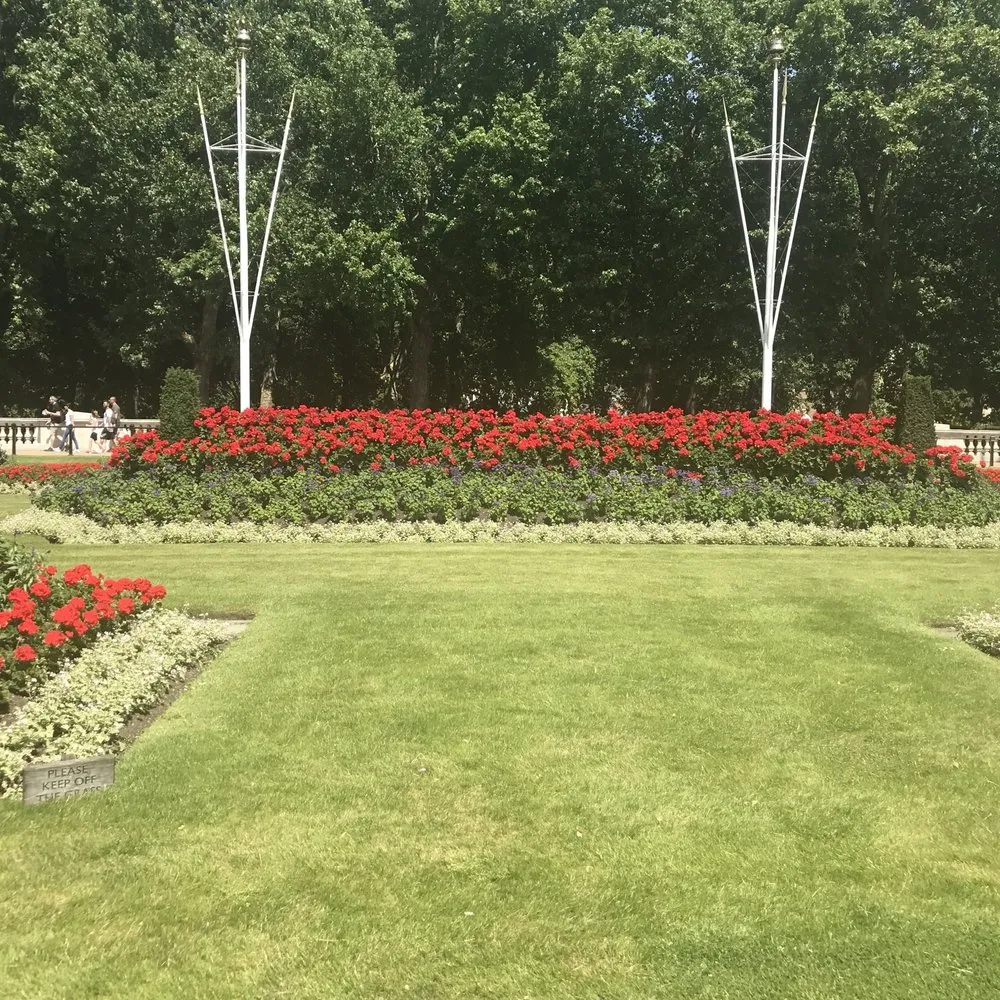 Custom yard cleanup service in Orlando, FL by Fresh Look Landscaping & Maintenance