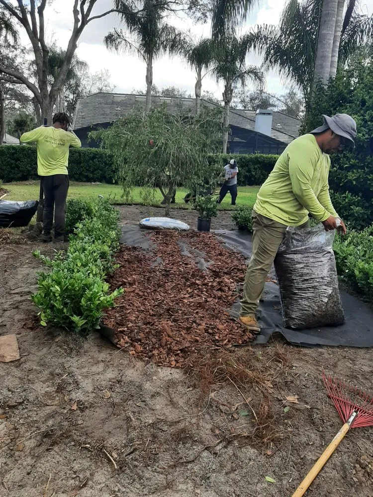 Affordable landscape installation for residential properties across Orlando, FL - Fresh Look Landscaping & Maintenance