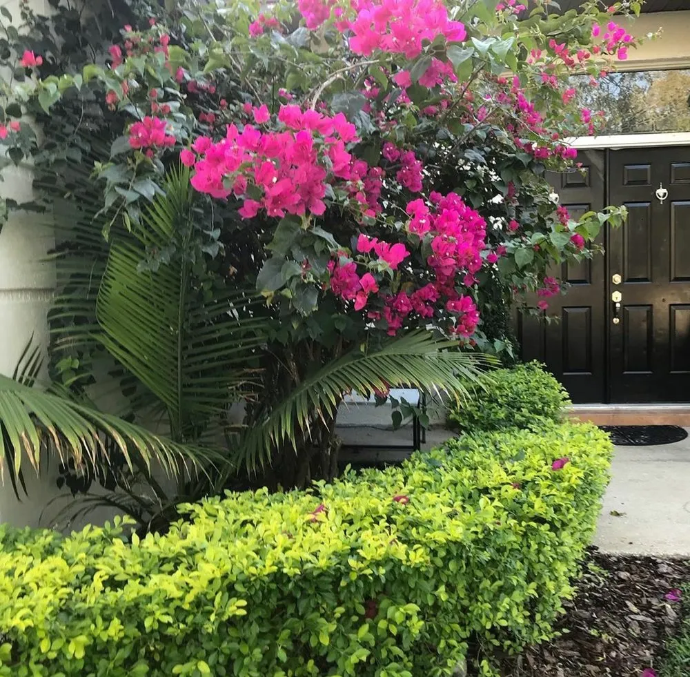 Expert yard cleanup service in Orlando, FL - Fresh Look Landscaping & Maintenance