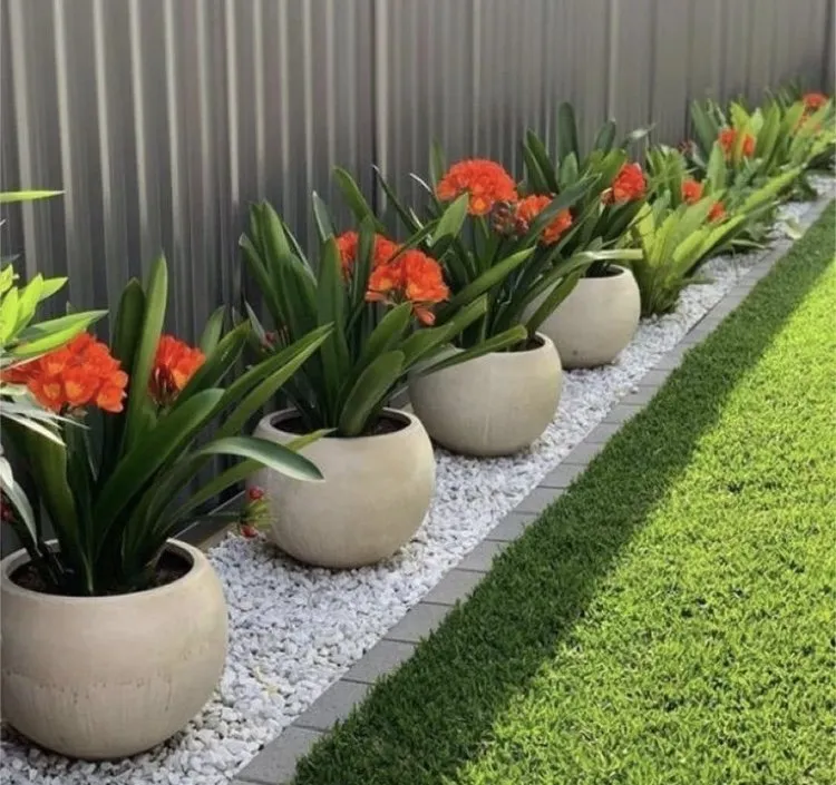 Affordable lawn care service experts serving Orlando, FL - Fresh Look Landscaping & Maintenance