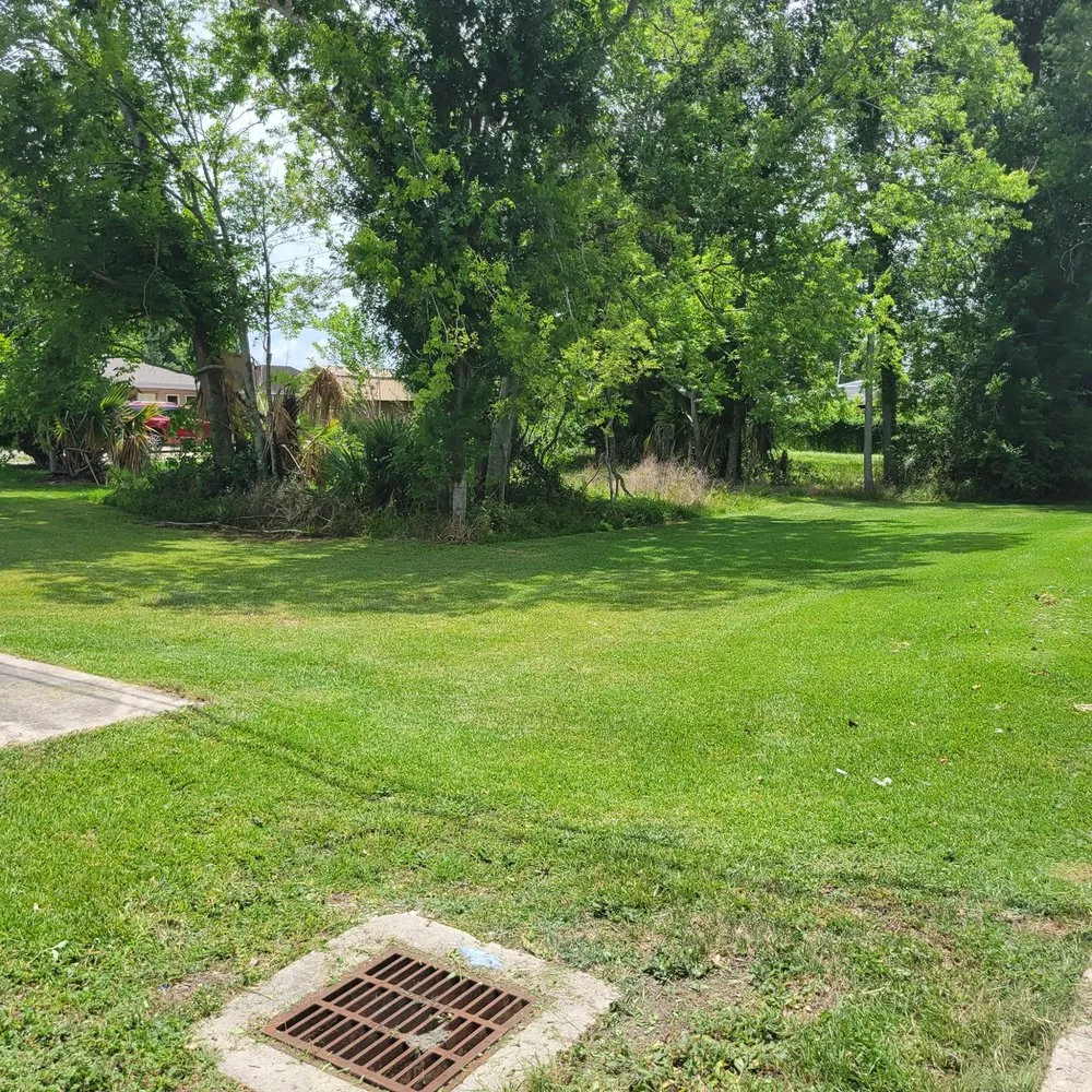 Custom yard maintenance for year-round maintenance in Houma, LA by Fresh Look Lawn Care