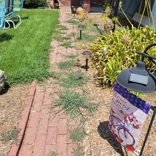 Local lawn mowing service near you in Houma, LA by Fresh Look Lawn Care